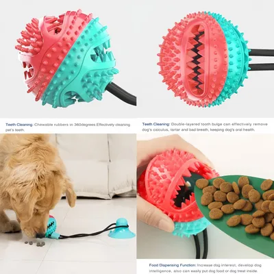 PetTribes Jouet Dental pour Chien Actif