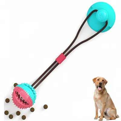 PetTribes Jouet Dental pour Chien Actif