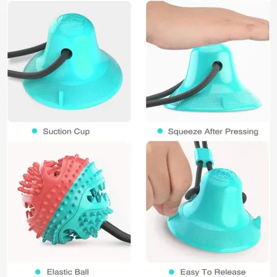 PetTribes Jouet Dental pour Chien Actif