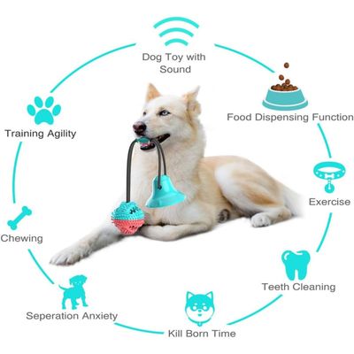 PetTribes Jouet Dental pour Chien Actif