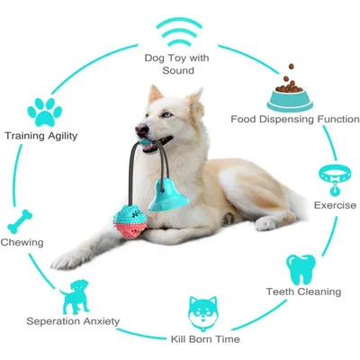 PetTribes Jouet Dental pour Chien Actif