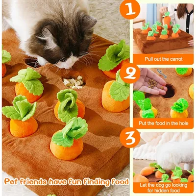 PetTribes Tapis à renifler - Carotte à mâcher