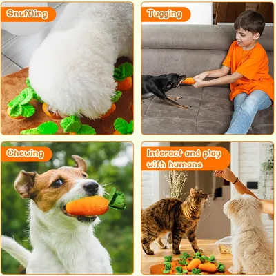 PetTribes Tapis à renifler - Carotte à mâcher