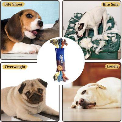 PetTribes Interaktives Quietsch-Kauspielzeug