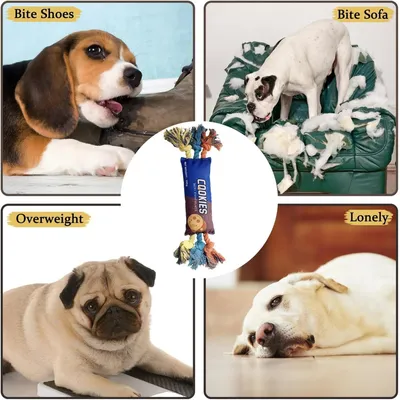 PetTribes Interaktives Quietsch-Kauspielzeug