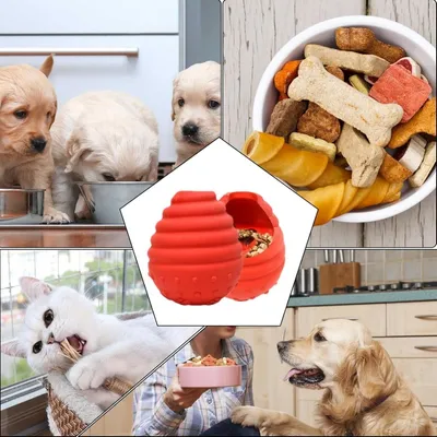 PetTribes Sphère Interactive - Distributeur de Croquettes pour Chien