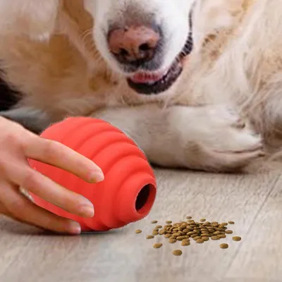 PetTribes Sphère Interactive - Distributeur de Croquettes pour Chien