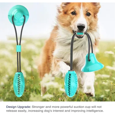 PetTribes Jouet à Mâcher Nettoyant pour Chien - Ventouse