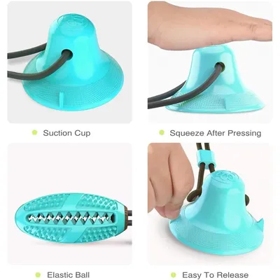 PetTribes Jouet à Mâcher Nettoyant pour Chien - Ventouse