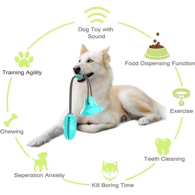 PetTribes Jouet à Mâcher Nettoyant pour Chien - Ventouse