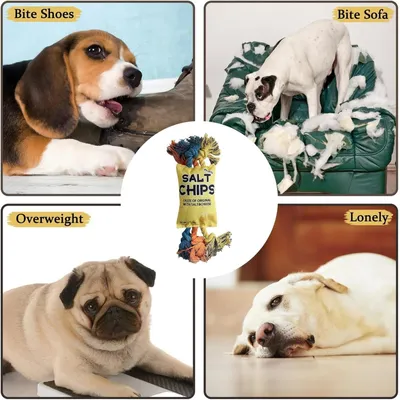 PetTribes Interaktives Quietsch-Kauspielzeug