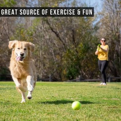 PetTribes Lance-Balles Chien -  2 Balles Incluses