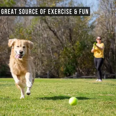 PetTribes Lance-Balles Chien -  2 Balles Incluses