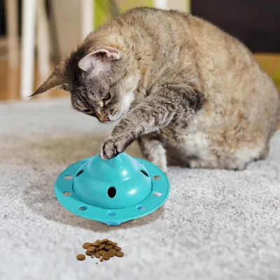 PetTribes Jeu Intelligent Anti-Glouton