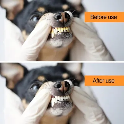 PetTribes Kit Hygiène Dentaire Anti-Tartre pour Chien