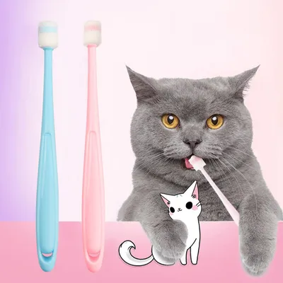 PetTribes Brosse à dents nettoyante pour chat et chien