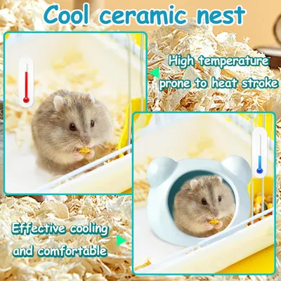 PetTribes Maison Fraîcheur Hamster - Céramique