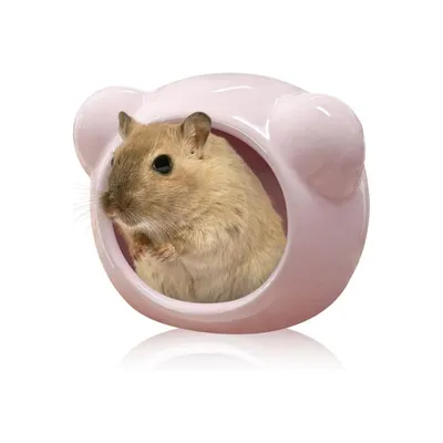 PetTribes Maison Fraîcheur Hamster - Céramique