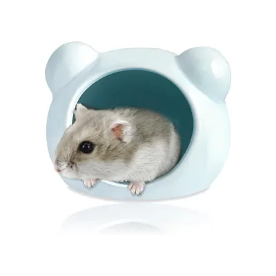 PetTribes Maison Fraîcheur Hamster - Céramique