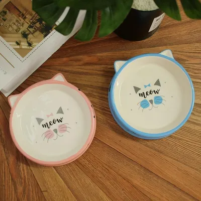 PetTribes Gamelle peu profonde pour chat, céramique