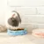 PetTribes Gamelle peu profonde pour chat, céramique
