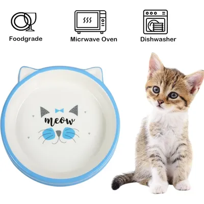 PetTribes Gamelle peu profonde pour chat, céramique