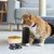 PetTribes Mangeoire Hauteur Ergonomique - Acier Inoxydable jaune