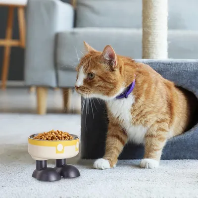 PetTribes Mangeoire Hauteur Ergonomique - Acier Inoxydable jaune