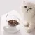 PetTribes Bol à nourriture pour chat avec support  surélevé