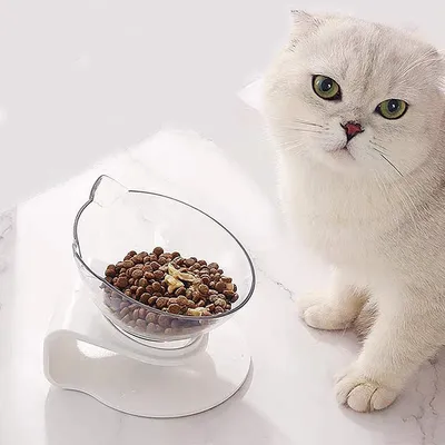 PetTribes Bol à nourriture pour chat avec support  surélevé