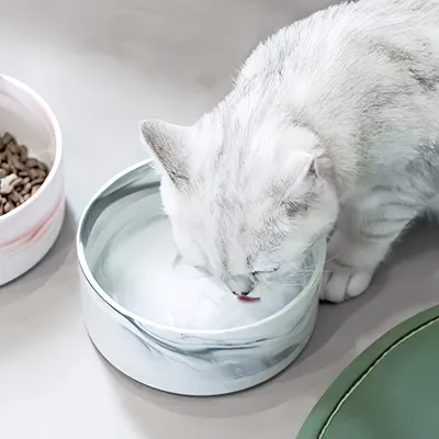 PetTribes Bol surélevé en Céramique et Bois pour Chat