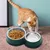 PetTribes  Lot de gamelles pour chat, Double bol