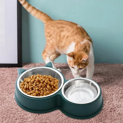 PetTribes  Lot de gamelles pour chat, Double bol
