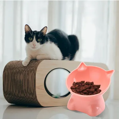 PetTribes Gamelles anti-vomi pour chats