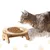 PetTribes Gamelle surélevée pour chat