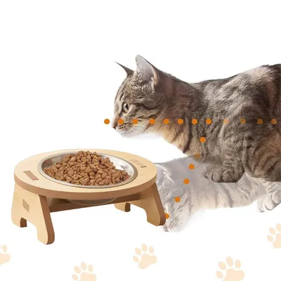 PetTribes Gamelle surélevée pour chat