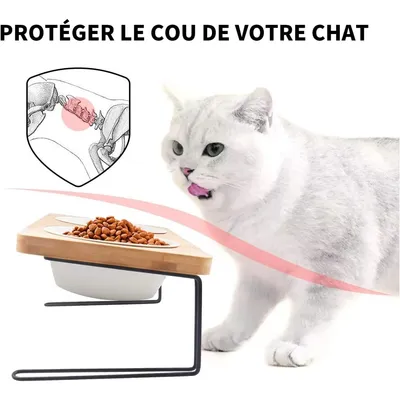 PetTribes Gamelle en céramique et support en bambou