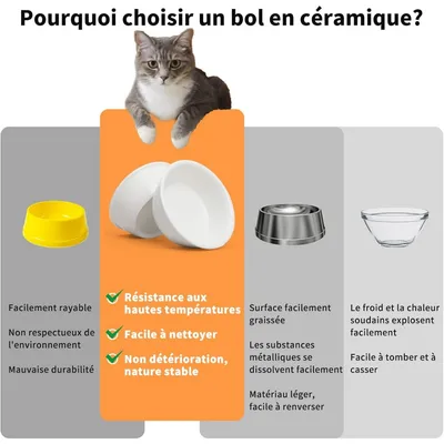 PetTribes Gamelle en céramique et support en bambou