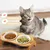 PetTribes 2 bols en céramique pour chat surélevés