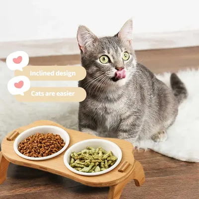 PetTribes 2 bols en céramique pour chat surélevés