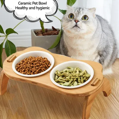 PetTribes 2 bols en céramique pour chat surélevés