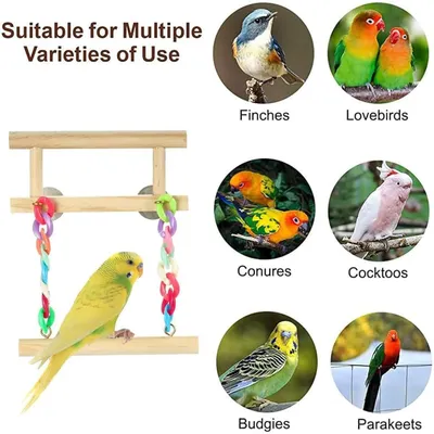 PetTribes Perchoir Balançoire en Corde pour Oiseaux