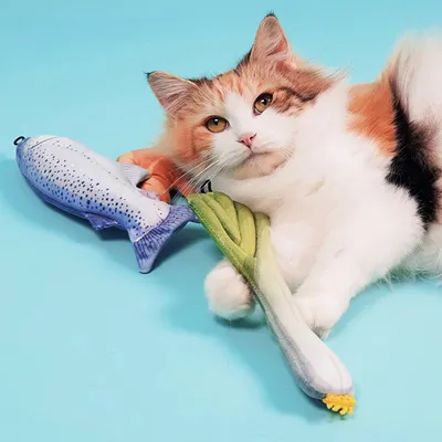 PetTribes Lot de 3 Jouets en Peluche pour Chat