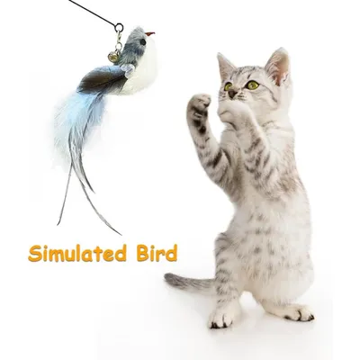 PetTribes Jouets à plumes naturelles pour chat - 6 pièces avec cloches