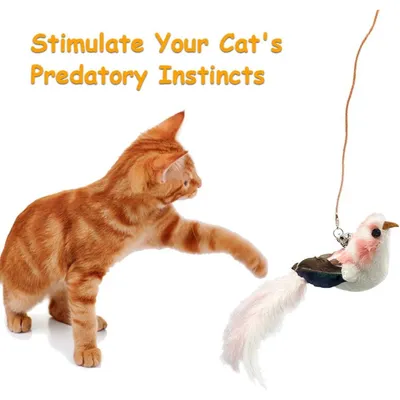 PetTribes Jouets à plumes naturelles pour chat - 6 pièces avec cloches