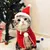 PetTribes Costume de Noël pour Chat - Cape et Chapeau Réglables
