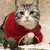 PetTribes Costume de Noël pour Chat - Cape et Chapeau Réglables