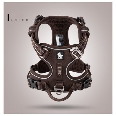 Harnais chien Truelove Country PLUS + dressage anti traction & promenade -