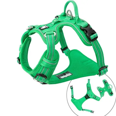 Harnais chien Truelove Country PLUS + dressage anti traction & promenade - Harnais chien Truelove Country PLUS + dressage anti traction & promenade -