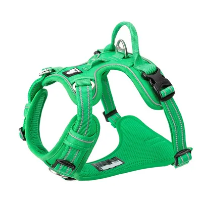 Harnais chien Truelove Country PLUS + dressage anti traction & promenade -